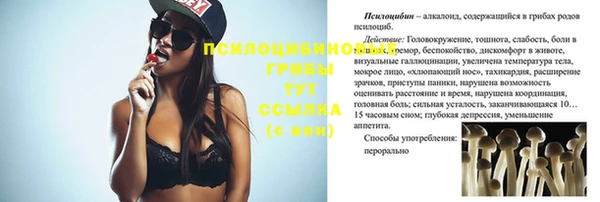 трава Протвино