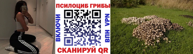 Купить закладки  Яровое  Псилоцибиновые грибы MAGIC MUSHROOMS 